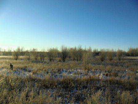  В Смоленской области выявлено более 400 га зарастающих земель сельскохозяйственного назначения