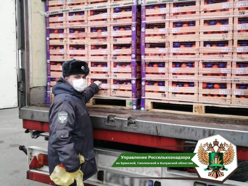  Управление Россельхознадзора осуществляет контроль экспорта растениеводческой продукции с территории Калужской области
