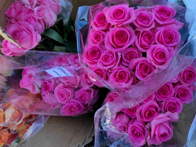  Перед 8 марта Управлением Россельхознадзора проведен фитосанитарный контроль около миллиона штук цветов, вывозимых из Калужской области