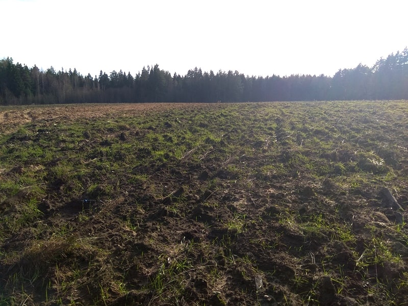  В Смоленской области ликвидированы очередные свалки на землях сельскохозяйственного назначения