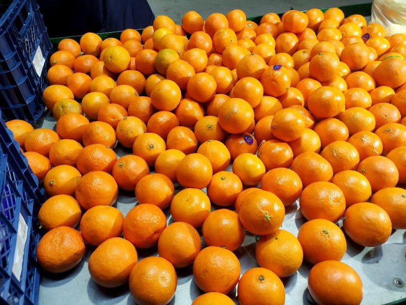 В Калужской области в турецких фруктах обнаружен карантинный вредитель