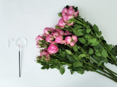  В Смоленской области запрещен ввоз кенийских роз, зараженных карантинным вредителем